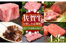 【全12回定期便】毎月お届け！佐賀牛 お楽しみ定期＜梅＞【Trade com 8】 [HBO004] 黒毛和牛 牛肉 肉