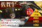 【全12回定期便】毎月お届け！佐賀牛 お楽しみ定期＜梅＞【Trade com 8】