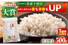 【栽培期間中農薬不使用】胚芽押麦 500g＜1等麦使用＞江北町産 サチホゴールデン【葦農】[HAJ002] 雑穀 雑穀米 麦ごはん 1等麦 麦 特別栽培農産物 佐賀 食物繊維 500g 真空パック 真空