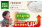 麦 雑穀 雑穀米 麦ごはん 1等麦 特別栽培農産物 佐賀 食物繊維 胚芽押麦 500g 真空パック 真空