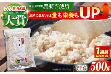 【栽培期間中農薬不使用】押麦 500g＜1等麦使用＞江北町産 サチホゴールデン【葦農】[HAJ011] 雑穀 雑穀米