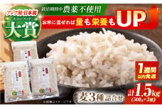 【栽培期間中農薬不使用】麦詰合 500g×3種 ( 押麦 胚芽押麦 丸麦 ) 【葦農】[HAJ013] 麦 雑穀 雑穀米 麦ごはん 1等麦 特別栽培農産物 佐賀 食物繊維 500g ご飯 食べ比べ セット