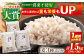 麦 雑穀 雑穀米 麦ごはん 1等麦 特別栽培農産物 佐賀 食物繊維 500g ご飯 食べ比べ セット 健康 健康食品 栄養