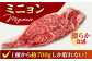 佐賀牛 ヒレ 3種食べ比べセット ( 100g×3枚 ) 【山下牛舎】 [HAD105] / A5 牛肉 赤身 黒毛和牛 フィレ