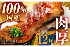【肉厚ふっくら】国産うなぎ 蒲焼き 12尾【魚正】 [HBV004]