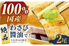 【わさび醤油でいただく】国産うなぎ 白焼き 2尾【魚正】 [HBV005]