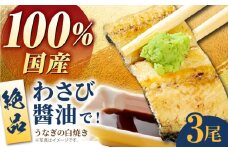 【わさび醤油でいただく】国産うなぎ 白焼き 3尾【魚正】 [HBV006] 佐賀 鰻 ウナギ 海鮮 国産 手焼き 真空 真空パック 冷蔵 お祝い 白焼