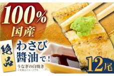 【わさび醤油でいただく】国産うなぎ 白焼き 12尾【魚正】 [HBV008]