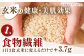 【皇室献上米生産者のお米】 さがびより 玄米 15kg【かづやの農園】[HAP003] 玄米 米 お米 佐賀県産 佐賀