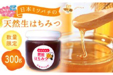 【先行予約】日本ミツバチの天然生はちみつ ( 百花蜜 ) 300g【白木酒店】 [HAQ011] / ハチミツ はちみつ 蜂蜜 日本ミツバチ 国産 国産はちみつ 佐賀