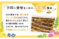 日本ミツバチの天然生はちみつ ( 百花蜜 ) 300g ハチミツ はちみつ 蜂蜜 日本ミツバチ 国産 国産はちみつ 佐賀