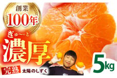 ＜先行予約＞【11月〜12月発送】タッチの甘熟 早生みかん 太陽のしずく 5kg【夢の甘熟みかん タッチ】[HCE001] / フルーツ みかん 佐賀みかん 果物 温州みかん ミカン 佐賀 佐賀県産 年内発送