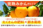 タッチの甘熟 早生みかん 太陽のしずく 5kg【夢の甘熟みかん タッチ】 フルーツ みかん 果物 温州みかん 年内発送
