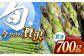 夏芽 アスパラガス 700g アスパラ アスパラガス あすぱらがす 野菜 アスパラガス やさい 野菜 サラダ 