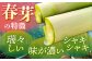 春芽 アスパラガス 700g アスパラ アスパラガス あすぱらがす 野菜 アスパラガス やさい 野菜 サラダ 