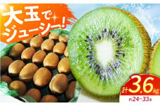 【先行予約】佐賀県産 キウイフルーツ ( ヘイワード ) 3.6kg【JAさが】[HBZ001] /キウイ フルーツ 果物 国産 佐賀 佐賀県産 国産キウイ