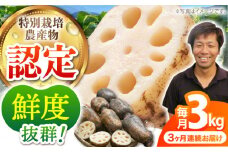 【先行予約】【全3回定期便】＜地元江北町産＞ 泥付き 蓮根 3kg【百武青果】 [HAE012]