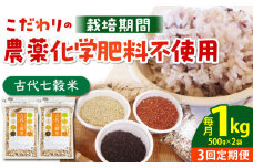 【全3回定期便】古代七穀米 1kg ( 500g×2個セット ) 【だいちの家】[HAG008] 定期便 雑穀 雑穀米 古代米 発芽玄米 玄米 黒米 麦 ヒエ アワ 佐賀