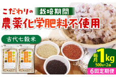 【全6回定期便】古代七穀米 1kg ( 500g×2個セット ) 【だいちの家】[HAG009] 定期便 雑穀 雑穀米 古代米 発芽玄米 玄米 黒米 麦 ヒエ アワ 佐賀