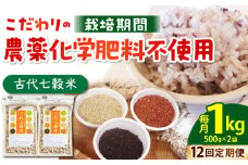 【全12回定期便】古代七穀米 1kg ( 500g×2個セット ) 【だいちの家】[HAG011] 定期便 雑穀 雑穀米 古代米 発芽玄米 玄米 黒米 麦 ヒエ アワ 佐賀