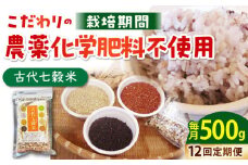 【全12回定期便】古代七穀米 500g 【だいちの家】[HAG014]