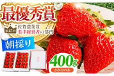 【農薬0への挑戦】【1～2月発送】王様のいちご さがほのか 400g 1箱【むらおか農園】 [HAF014]