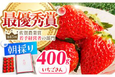 【農薬0への挑戦】【1～2月発送】王様のいちご いちごさん 400g 1箱【むらおか農園】 [HAF013] 果物 フルーツ くだもの 苺 イチゴ 佐賀県 江北町