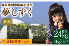 【月2回発送】【全6回定期便】栽培期間中農薬不使用 玄米 夢しずく 4kg【北原農園】 [HCA011] 令和6年産 米 ゲンマイ 佐賀 定期便