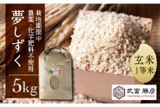 【“食のノーベル賞”受賞者】＜特別栽培米 1等米 玄米＞江北町産 夢しずく 5kg【葦農】[HAJ015]