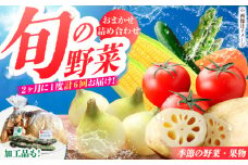 【隔月発送】【全6回定期便】新鮮野菜・加工品 おまかせ詰め合わせ【だいちの家】[HAG017]