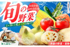 【隔月発送】【全3回定期便】新鮮野菜・加工品 おまかせ詰め合わせ【だいちの家】[HAG016]