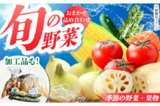 【旬の野菜をお届け】新鮮野菜・加工品 おまかせ詰め合わせ【だいちの家】[HAG015] / 野菜 果物 フルーツ 味噌 漬物 お菓子 クッキー おすすめ 健康 健康食品 栄養 セット 佐賀 
