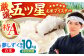 【全6回定期便】夢しずく 白米 10kg ( 5kg×2袋 ) 【五つ星お米マイスター厳選】 [HBL045]