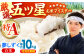 【全12回定期便】夢しずく 白米 10kg ( 5kg×2袋 ) 【五つ星お米マイスター厳選】 [HBL046]