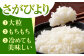 【全12回定期便】さがびより 無洗米 10kg ( 5kg×2袋 ) 【五つ星お米マイスター厳選】 [HBL049] 