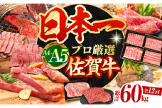 【希少部位入り！】【全12回定期便】佐賀牛 贅沢定期便【田中畜産牛肉店】 [HBH045]  牛肉 肉 黒毛和牛 ヒレ フィレ 赤身 サーロイン 焼肉 スライス ステーキ ハンバーグ セット 定期 定期便