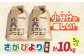 米 玄米 佐賀 佐賀県産 特A評価 特A米