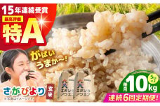 【全6回定期便】がばいうまか エガシライス ( さがびより ) 玄米 10kg ( 5kg×2袋 ) 【江頭農園】 [HAU007]