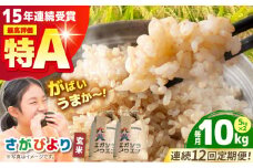 【全12回定期便】がばいうまか エガシライス ( さがびより ) 玄米 10kg ( 5kg×2袋 ) 【江頭農園】 [HAU008]
