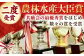 【全3回定期便】佐賀牛 ハンバーグ 5個セット 黒毛和牛 牛肉 定期便 ハンバーグ 個包装 佐賀牛ハンバーグ 佐賀 定期 3ヶ月