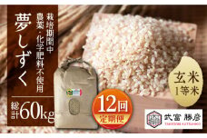 【全12回定期便】特別栽培米 江北町産 夢しずく 1等米 玄米 5kg【葦農】[HAJ018]
