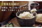 【全12回定期便】特別栽培米 江北町産 夢しずく 1等米 玄米 5kg【葦農】[HAJ018]