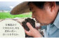 【全12回定期便】特別栽培米 江北町産 夢しずく 1等米 玄米 5kg【葦農】[HAJ018]