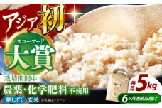 【全6回定期便】特別栽培米 江北町産 夢しずく 1等米 玄米 5kg【葦農】[HAJ017] お米 江北 江北町 玄米 5kg 特別栽培農産物 米 