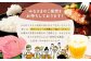 【全3回定期便】ノンカフェイン飲料 籾付玄米茶 300g×1袋【葦農】[HAJ028]