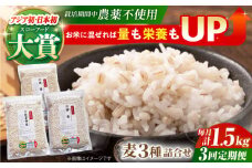 【全3回定期便】栽培期間中農薬不使用 麦詰合 500g×3種 ( 押麦 胚芽押麦 丸麦 ) 【葦農】[HAJ031] 麦 雑穀 雑穀米 麦ごはん 1等麦 特別栽培農産物 佐賀 食物繊維 500g ご飯 食べ比べ セット