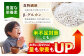 麦 雑穀 雑穀米 麦ごはん 1等麦 特別栽培農産物 佐賀 食物繊維 500g ご飯 食べ比べ セット