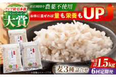 【全6回定期便】栽培期間中農薬不使用 麦詰合 500g×3種 ( 押麦 胚芽押麦 丸麦 ) 【葦農】[HAJ032] 麦 雑穀 雑穀米 麦ごはん 1等麦 特別栽培農産物 佐賀 食物繊維 500g ご飯 食べ比べ セット