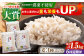 麦 雑穀 雑穀米 麦ごはん 1等麦 特別栽培農産物 佐賀 食物繊維 500g ご飯 食べ比べ セット