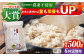 麦 雑穀 雑穀米 麦ごはん 1等麦 特別栽培農産物 佐賀 食物繊維 押麦 500g ご飯 定期便
